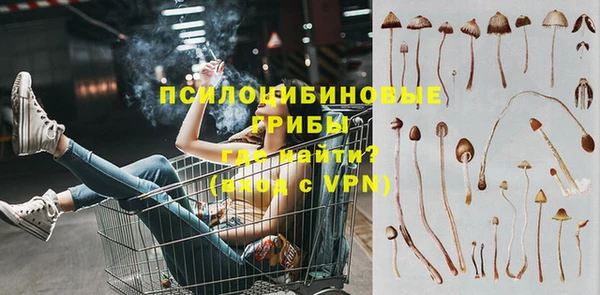 амф Абаза