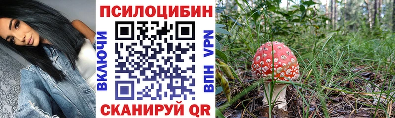 наркота Шебекино mega вход Псилоцибиновые грибы Magic Shrooms