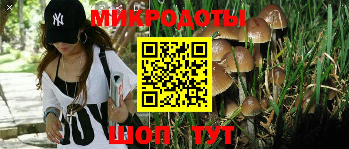 Галлюциногенные грибы Magic Shrooms Шебекино