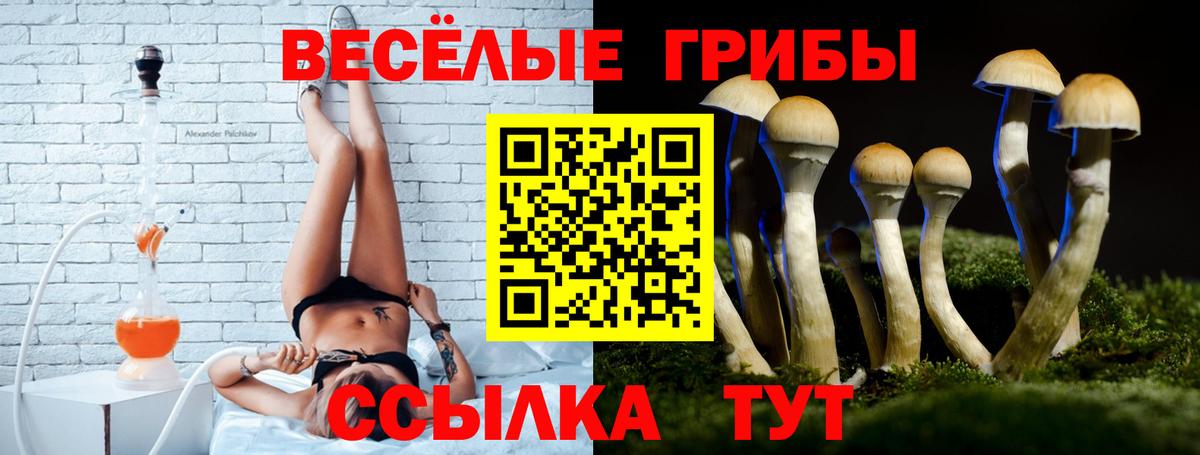 Псилоцибиновые грибы ЛСД  Вход с VPN  наркотики  Шебекино 